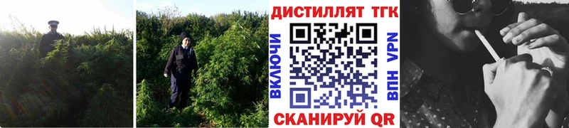Дистиллят ТГК вейп  что такое   Междуреченск 